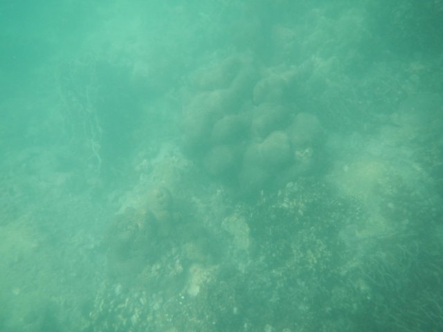 dscn1644